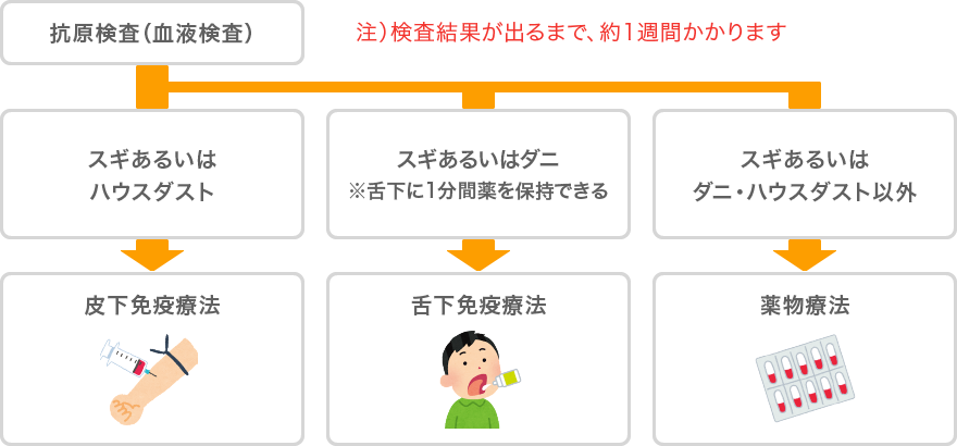 抗原検査（血液検査）／12才未満のスギ単独 スギ and/or ハウスダスト→皮下免疫療法／12才以上のスギ単独→皮下または舌下免疫療法／ハウスダスト･スギ以外→薬物療法